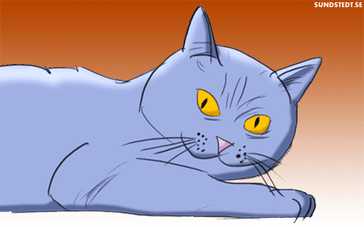 Cat2_1