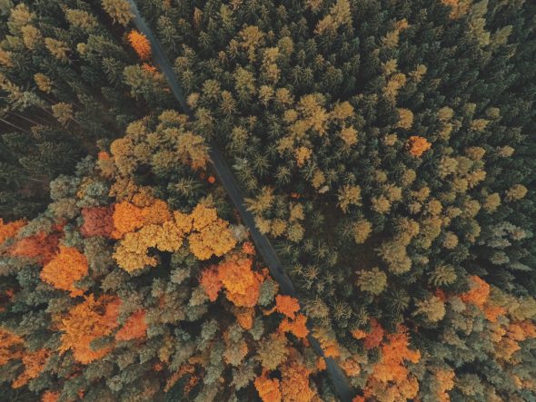 color grading services Glasgow