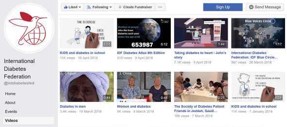 IDF Facebook Page Videos - Sundstedt Animation
