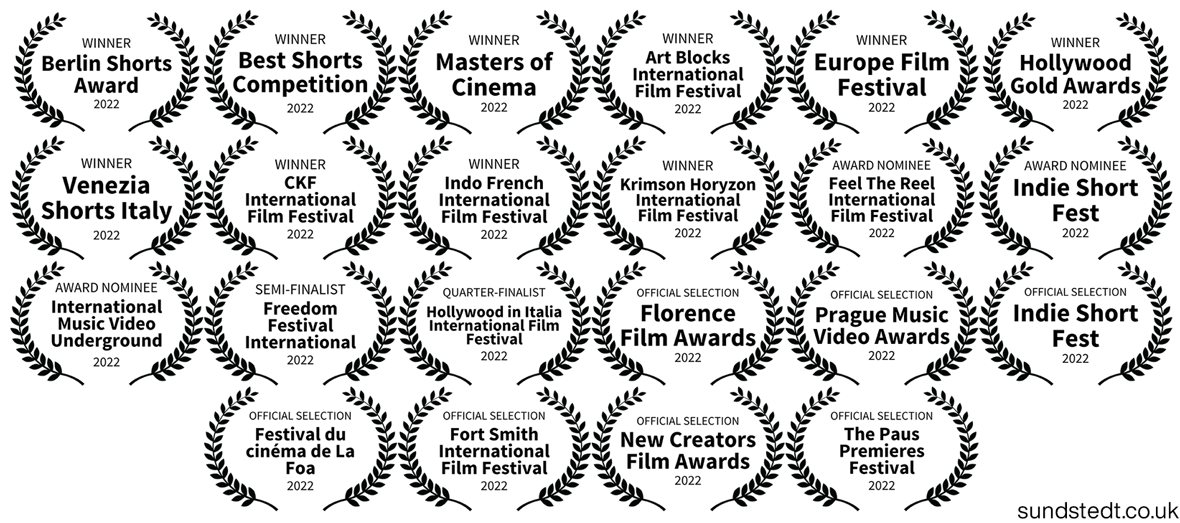 Award-Winning Artist Image