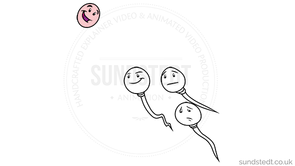 zestica-scene-sperms-animated-explainer-behind-the-scenes