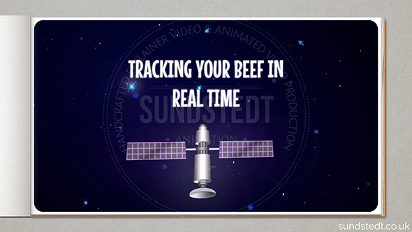 Tracking in Real Time Sundstedt Animation