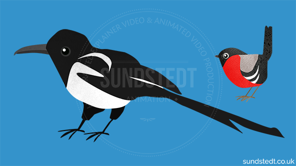 magpie_vs_robin-behind-the-scenes-sundstedt