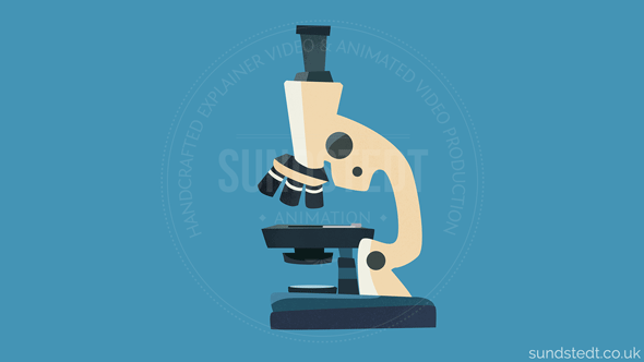 Motion Design Services