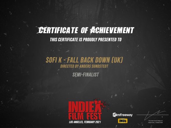 Award - IndieX - Fall Back Down - Anders Sundstedt - 2021